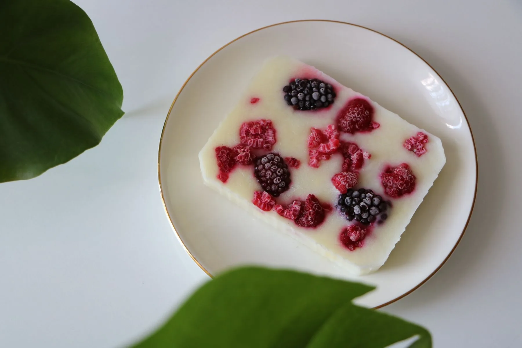 Frossen yoghurt med bringebær og bjørnebær på en tallerken